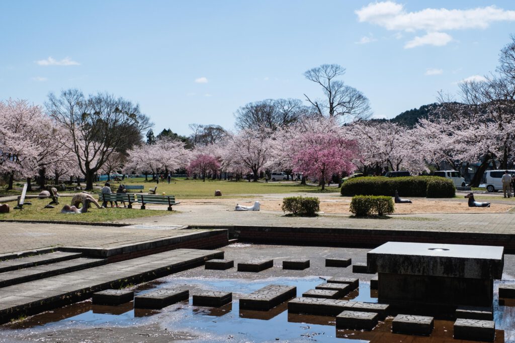 Oigawa Ryokuchi Park