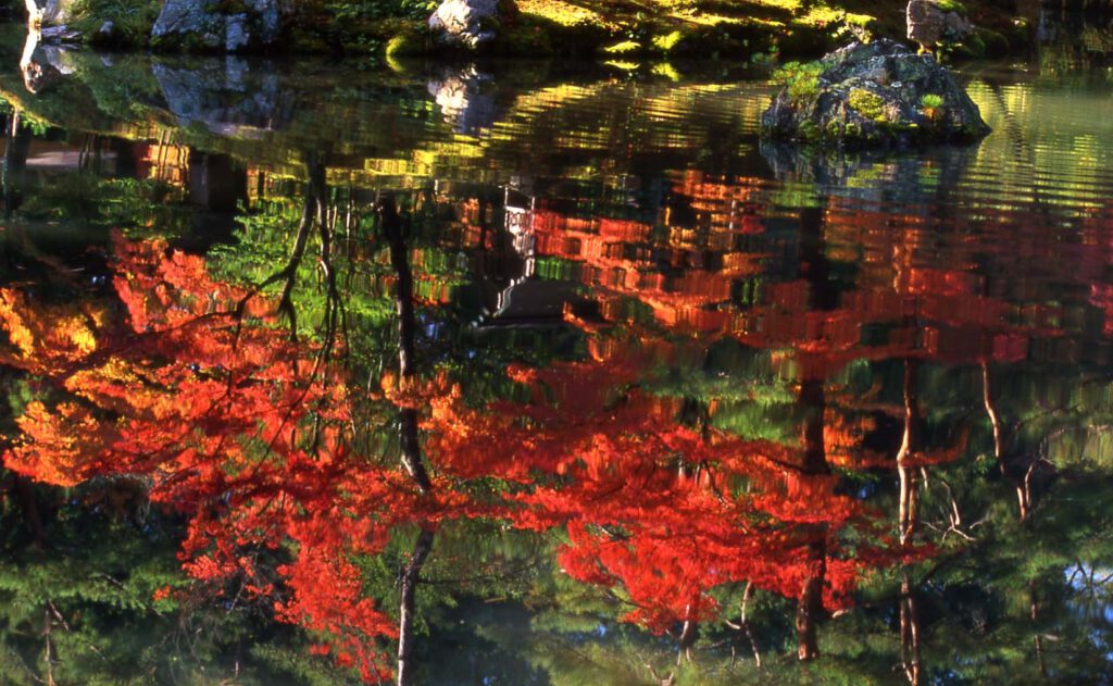 Colors Reflected in the Water