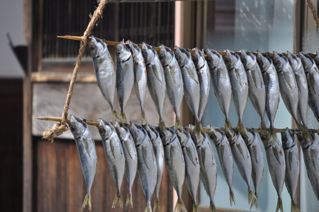 Ine Dried Foods (Horse mackerel)