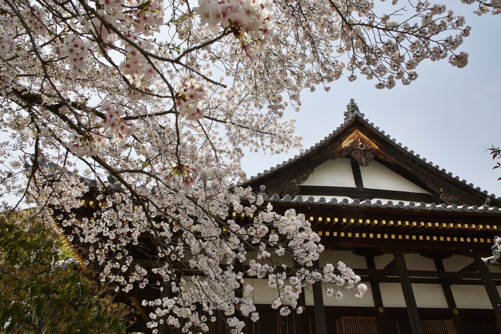 Shoho-ji Temple 2