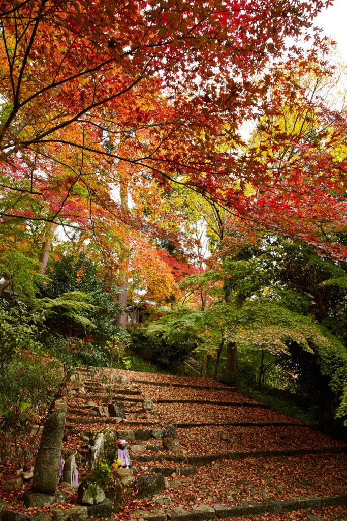 Shoho-ji Temple: Fall Foliage 4 | Photos | Another Kyoto Media Library