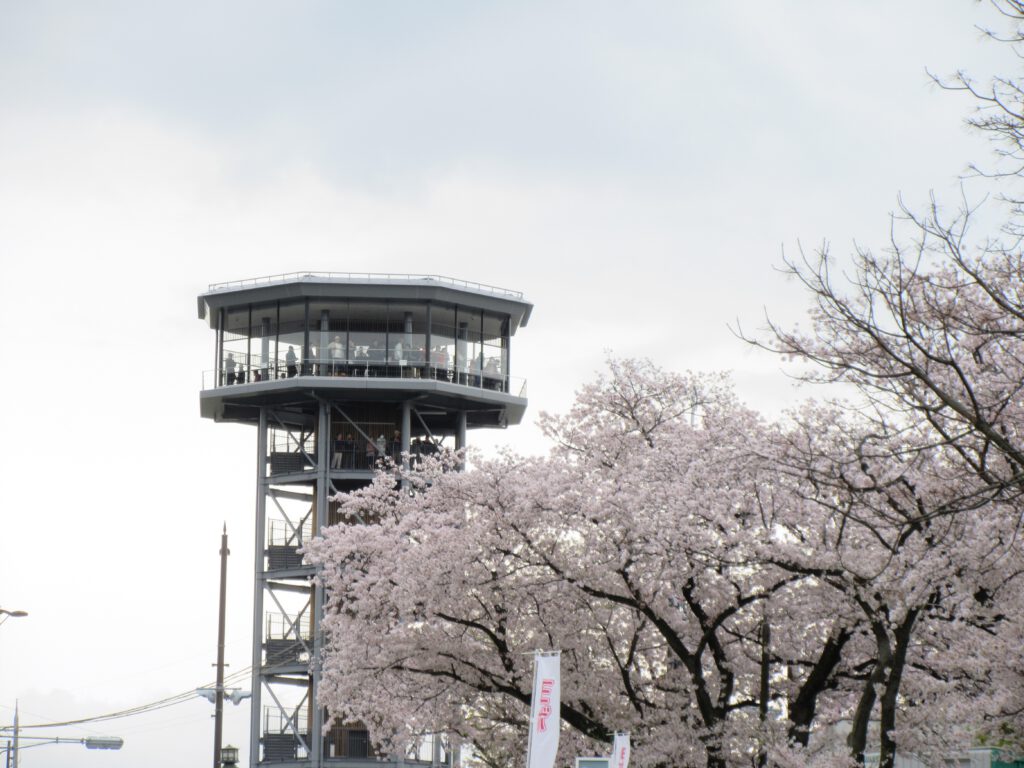 さくらであい館展望塔と桜