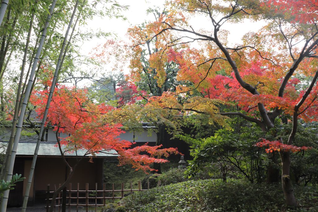 松花堂庭園：秋3