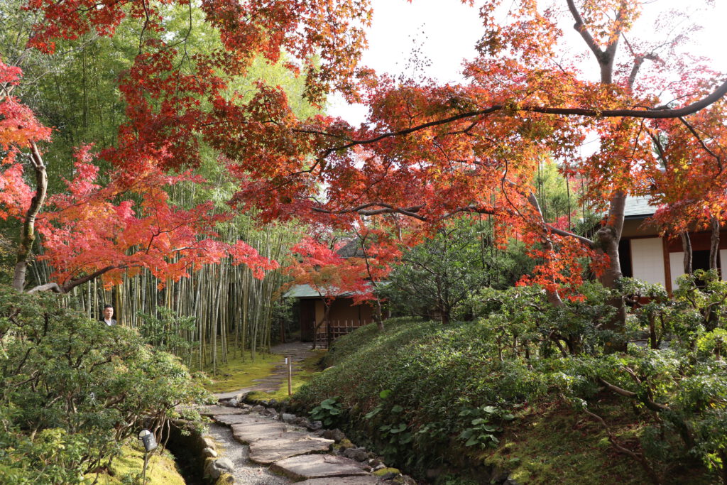 Shokado Garden: Autumn 4