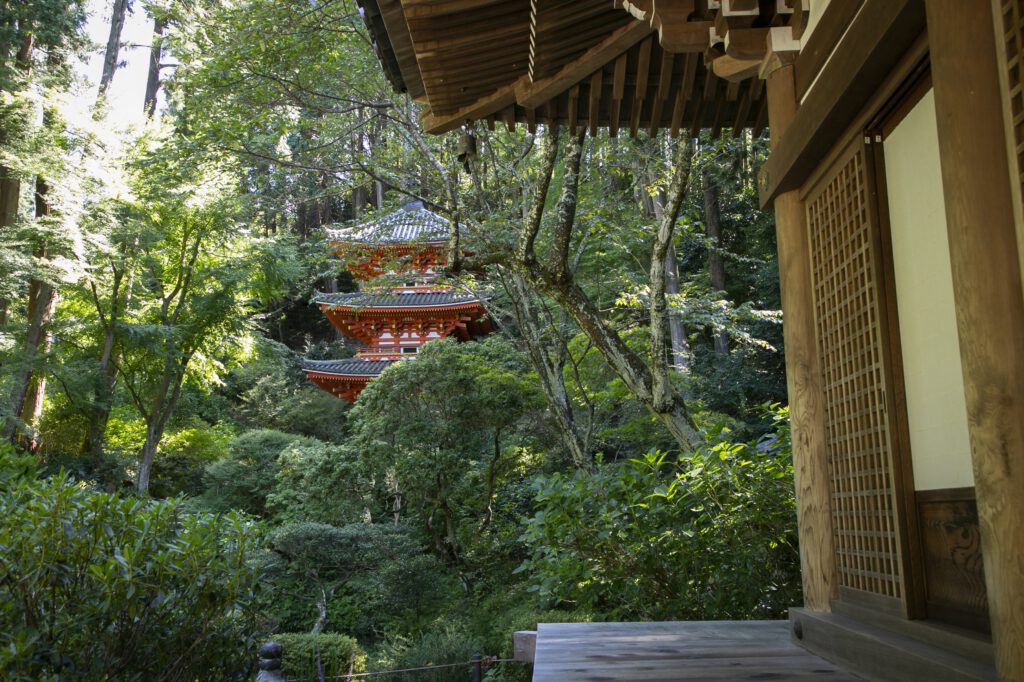 Gansen-ji Temple 4