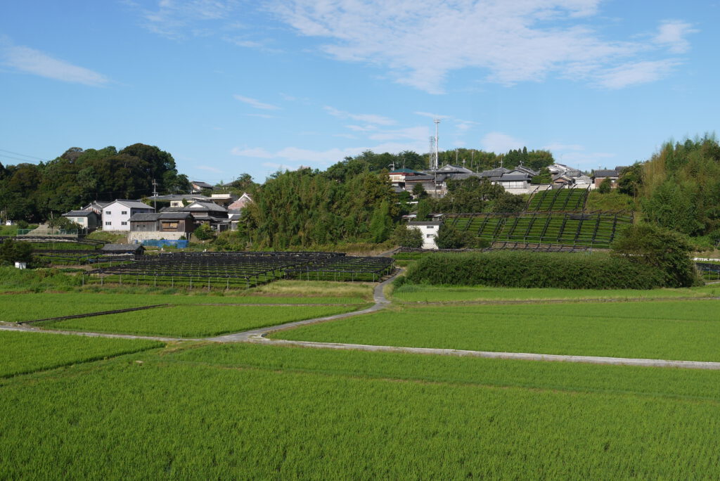 日本遺産『飯岡の茶畑』
