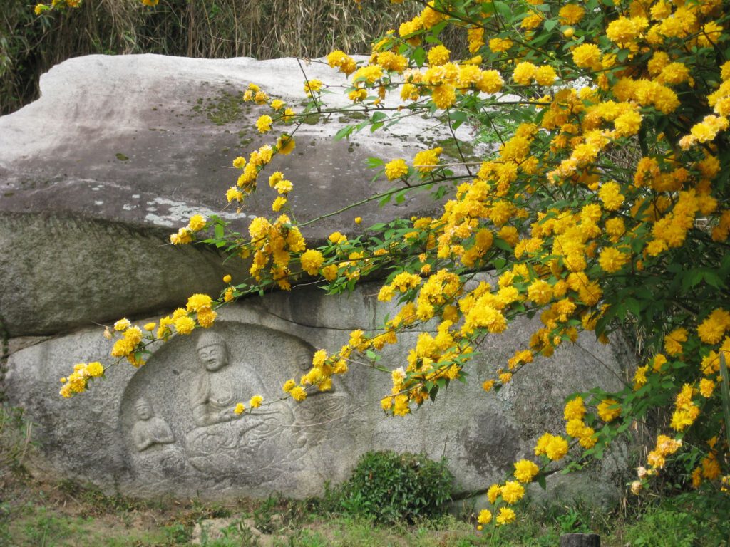 Smiling Buddha: Stone Buddha Path in Tono