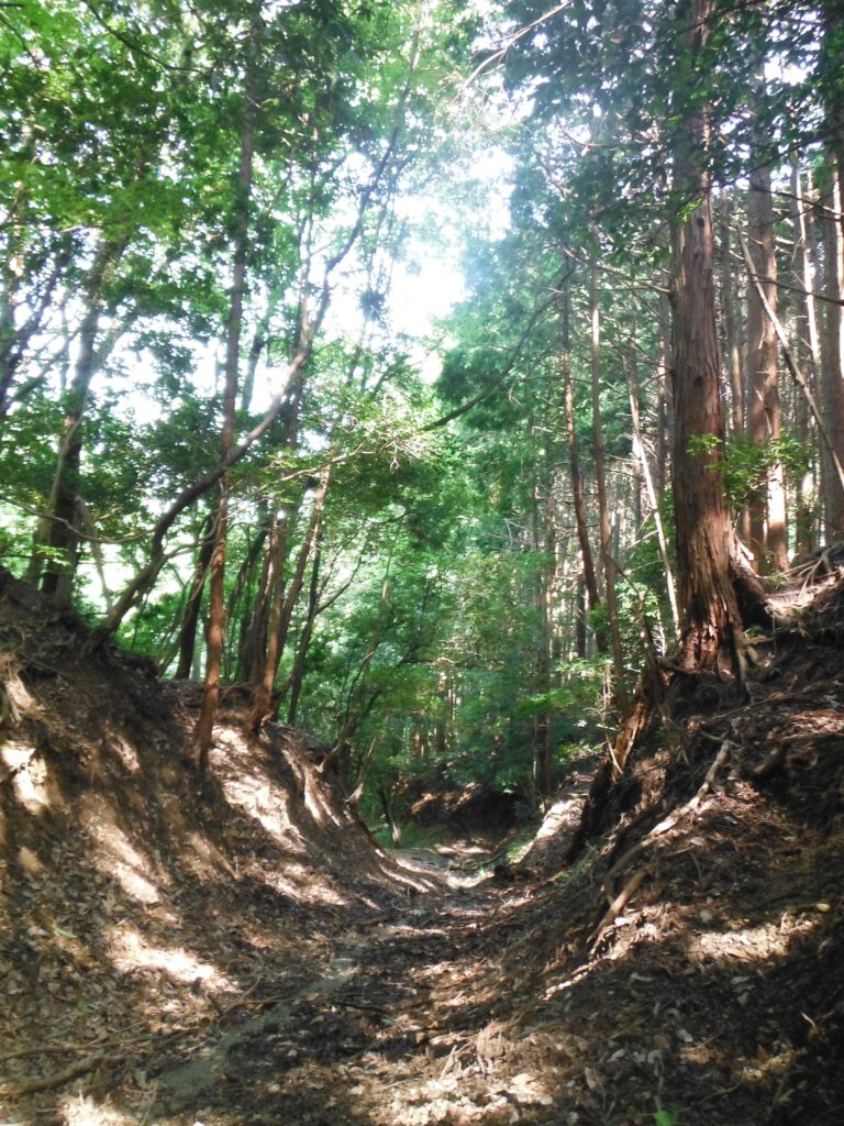 Near Matsutoge (“Pine Mountain”) (Ieyasu’s Iga Crossing)