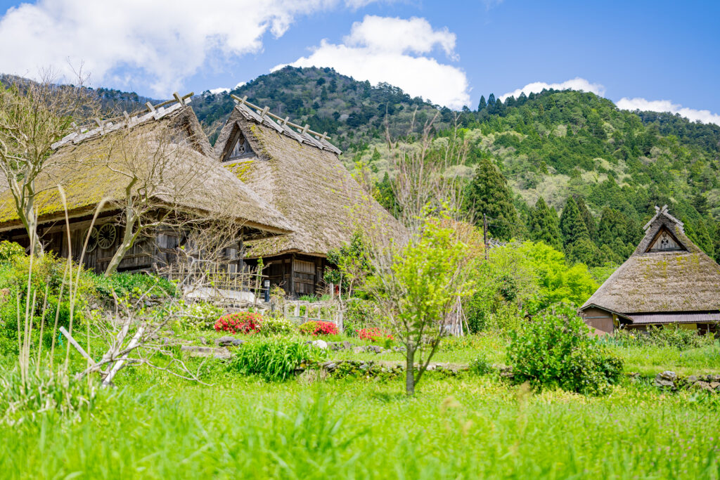 Miyama’s Thatched Village (Kayabuki no Sato)