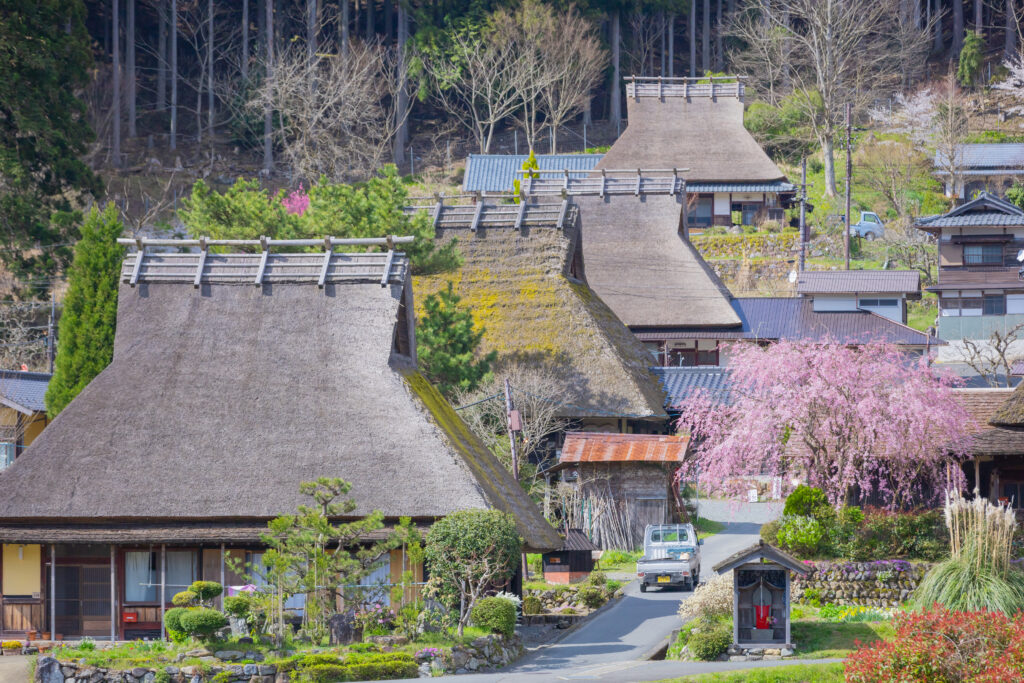 美山かやぶきの里：春