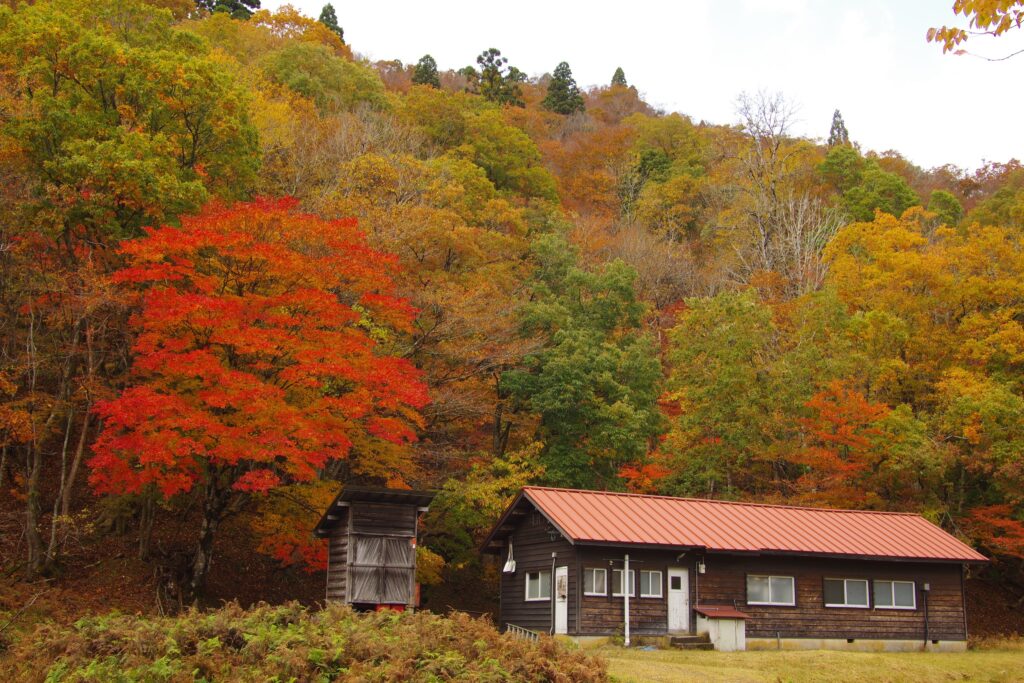 美山：芦生　長治谷
